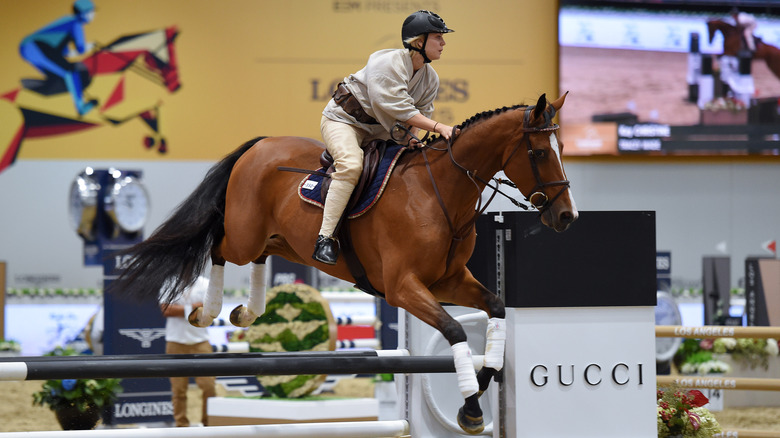 Kaley Cuoco jumping a horse over a rail