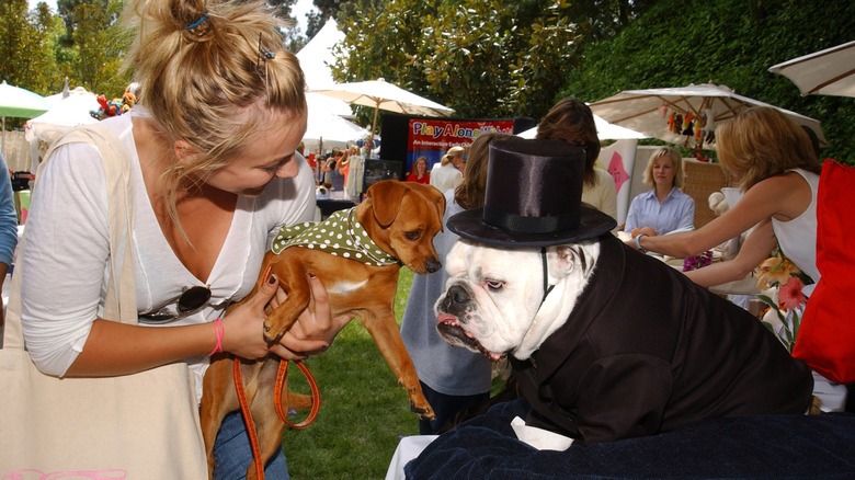 Kaley Cuoco holding dog