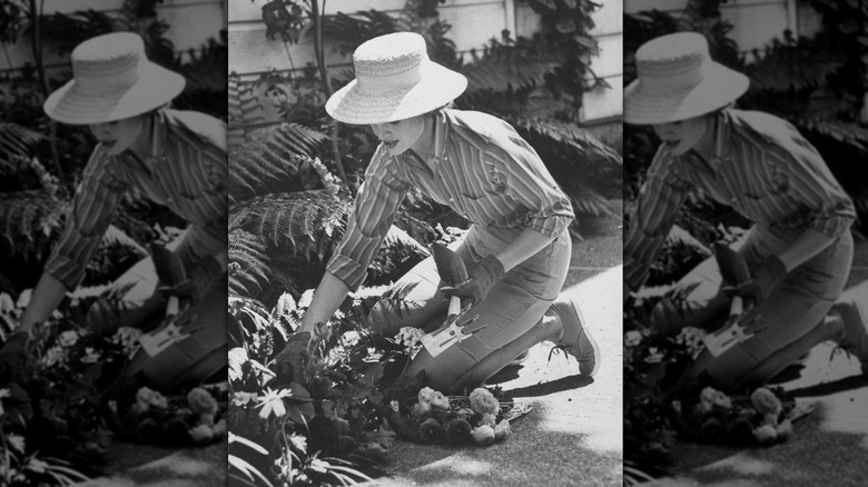 Woman inspects her garden