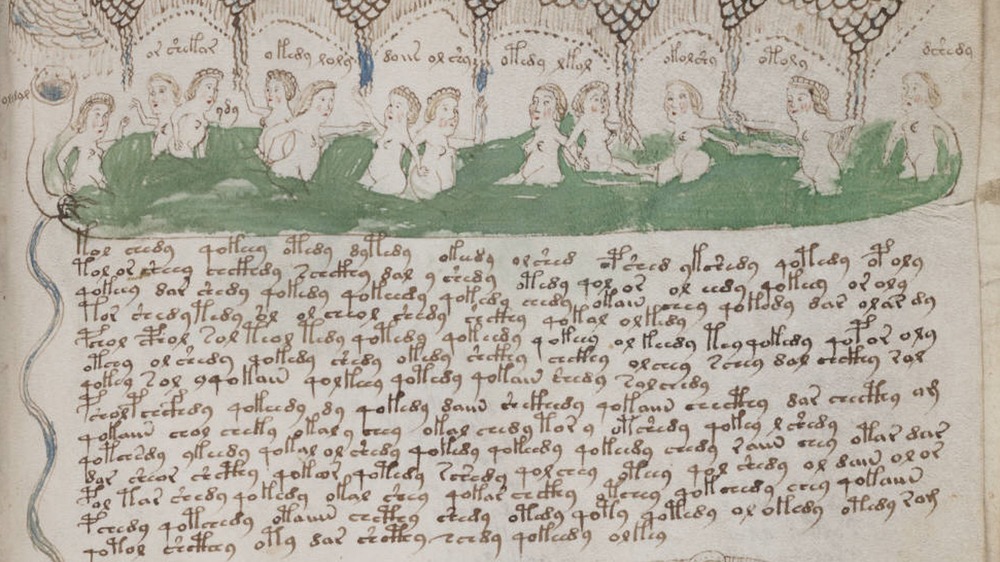 voynich manuscript women bathing