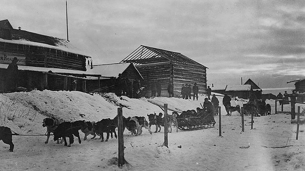 sled dog team racing the Iditarod c. 1912