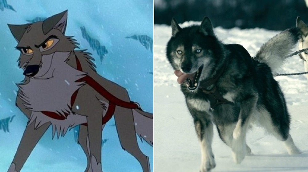 Balto in the animated movie Balto/Togo in the live-action movie Togo