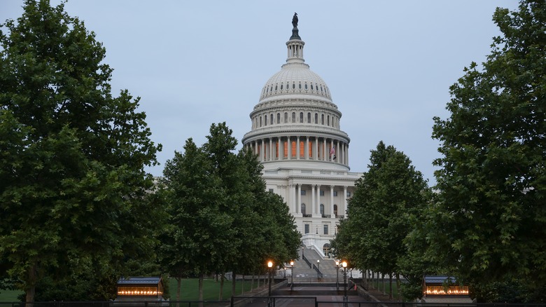 capitol building trees