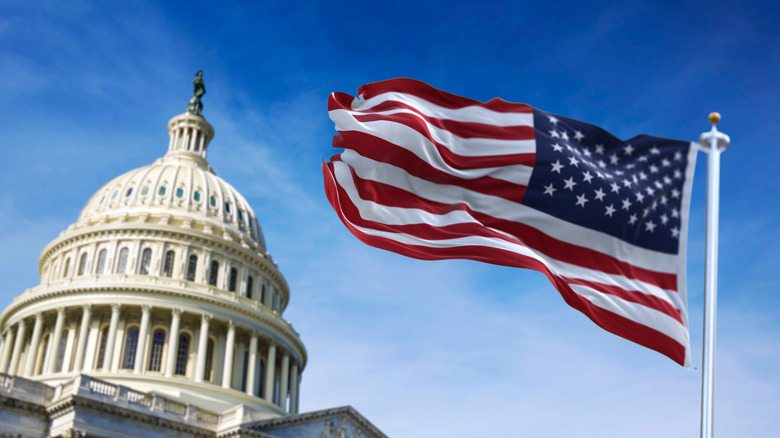 the flag in front of capitol