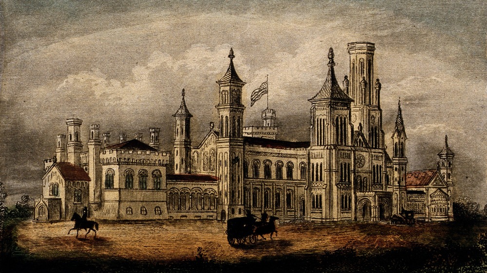 Smithsonian Institute, New York, America. Coloured steel engraving