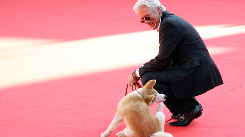 richard gere at hachi movie premiere