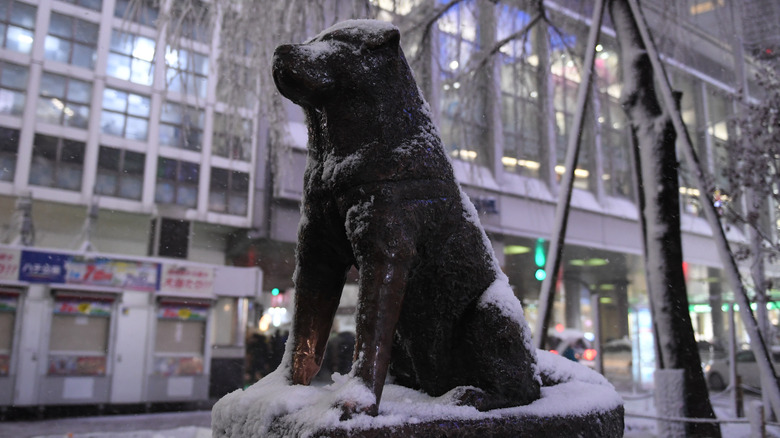 statue honoring hachiko in tokyo