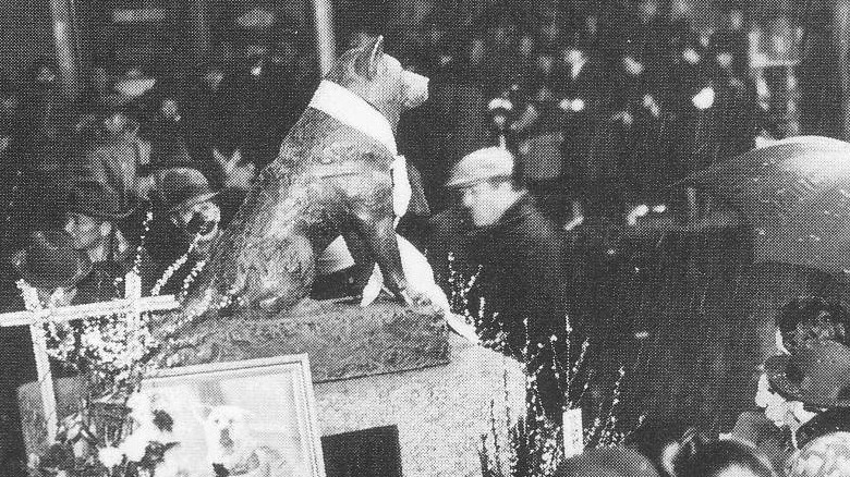 first anniversary of hachiko's death