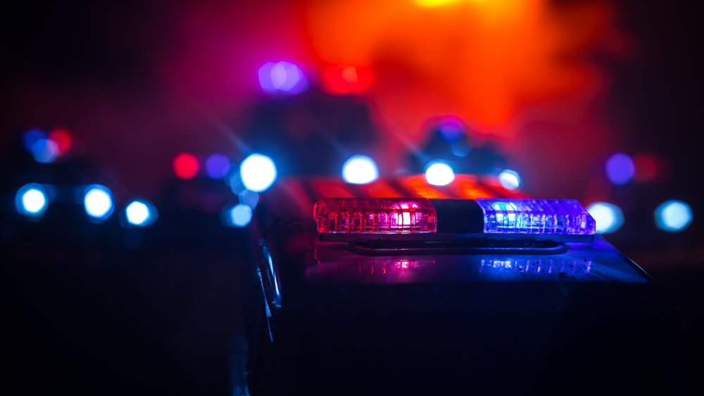 Police cars at night in fog