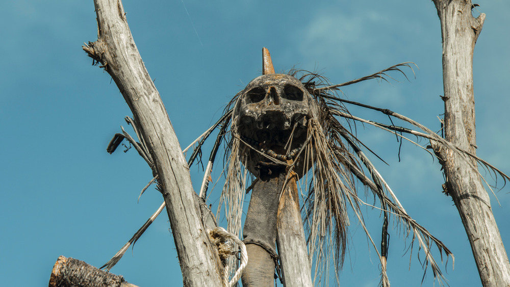 Cannibal skull