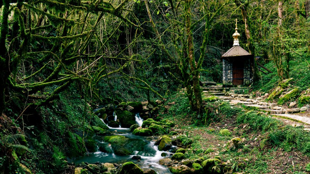 forest chapel