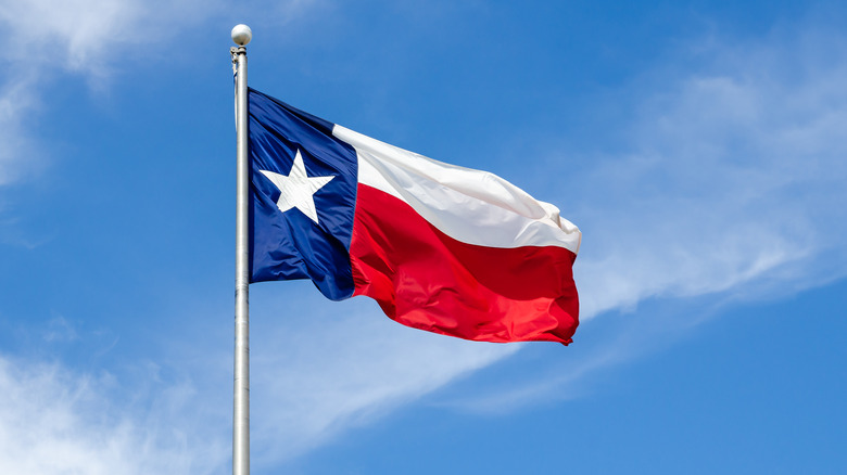 the texas flag