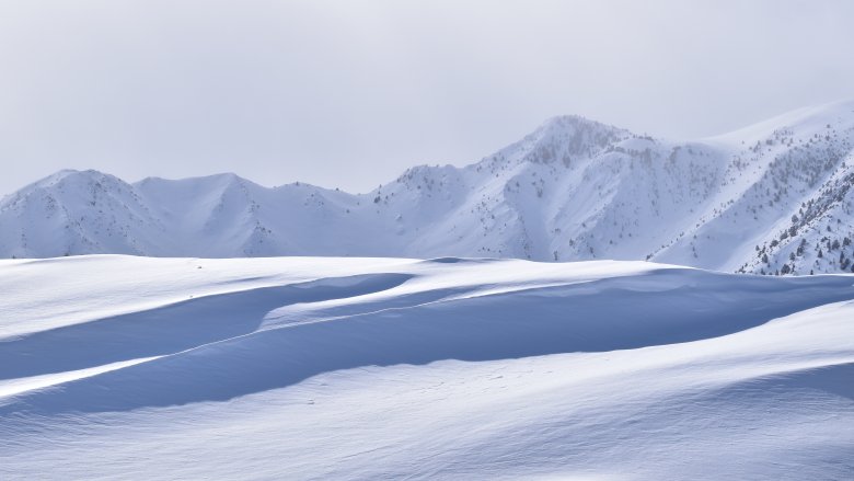 Snow near Mammoth Mountain