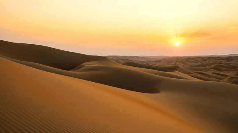 Desert dunes in Abu Dhabi.