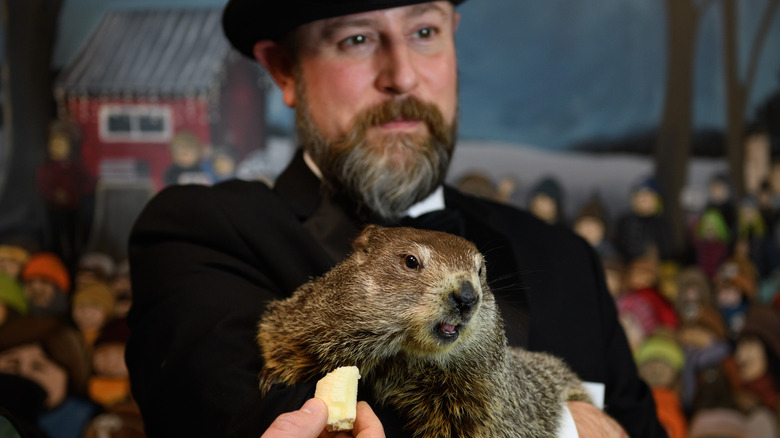 Punxsutawney Phil