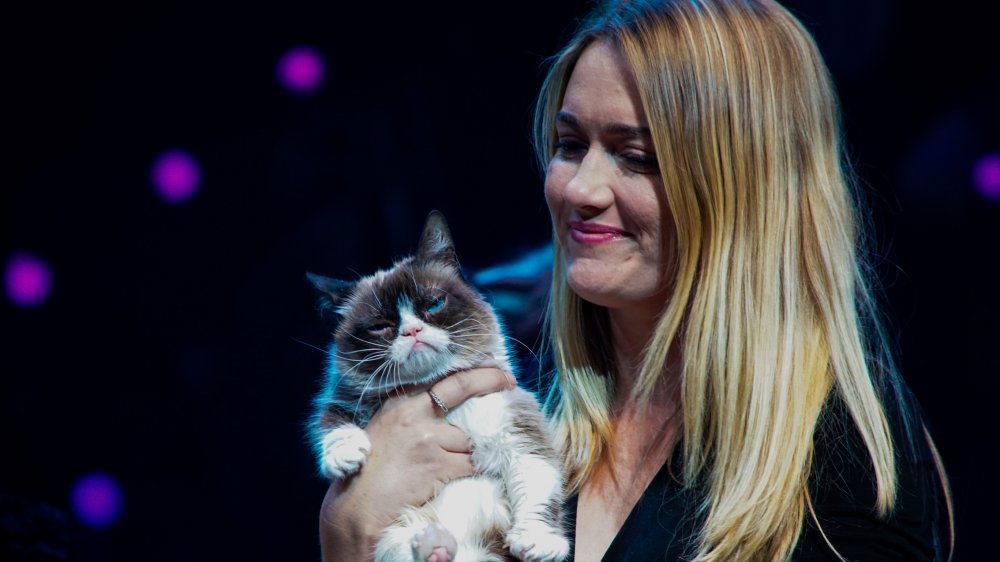 Grumpy Cat, owner