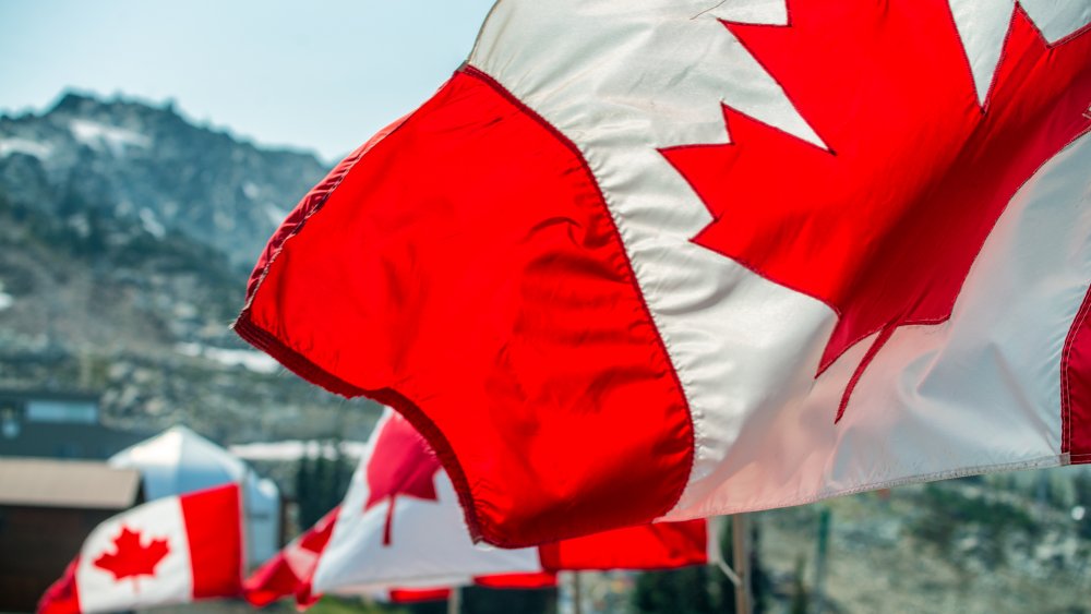 Canadian flags