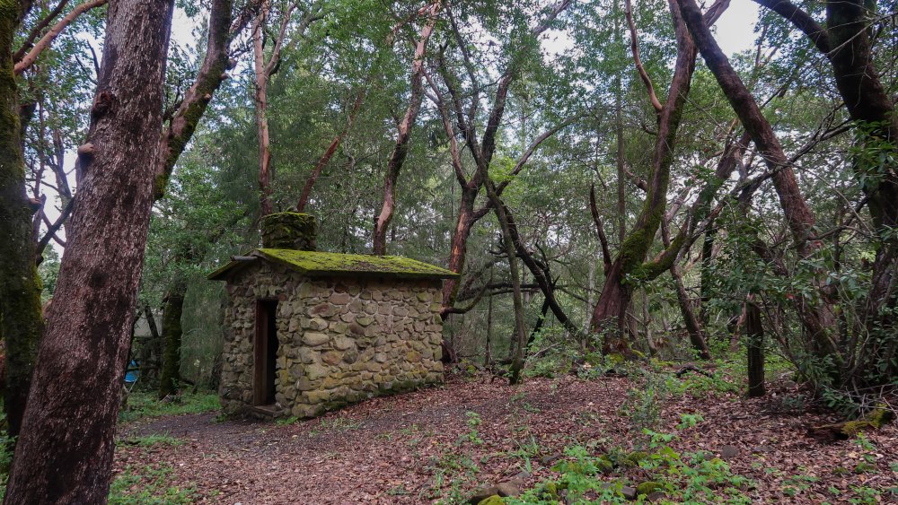 Jack London State Park in California