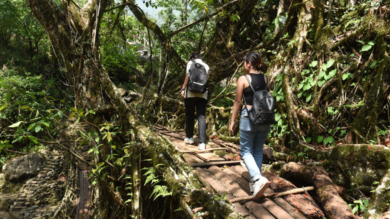 living root bridge hikers