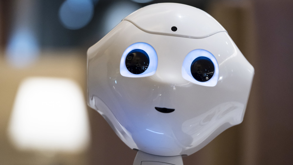 Pepper the robot companion