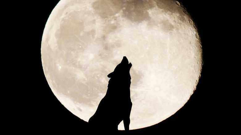 The Truth About John Steinbeck's Unpublished Werewolf Mystery