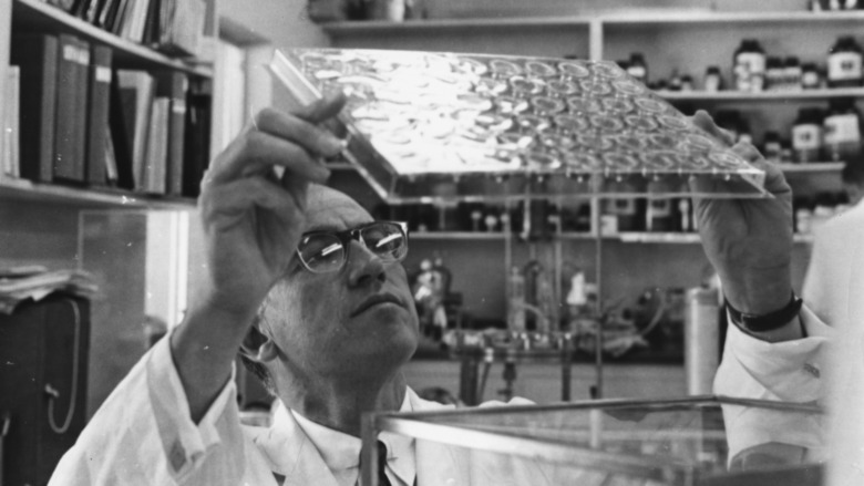 Dr. Salk working in laboratory