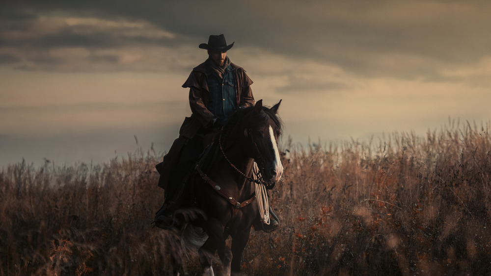 A cowboy on horseback