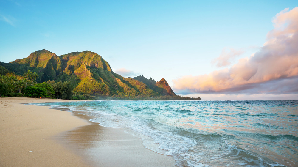 Hawaiian beach