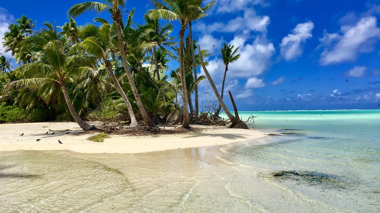 Teti'aroa, Marlon Brando Island