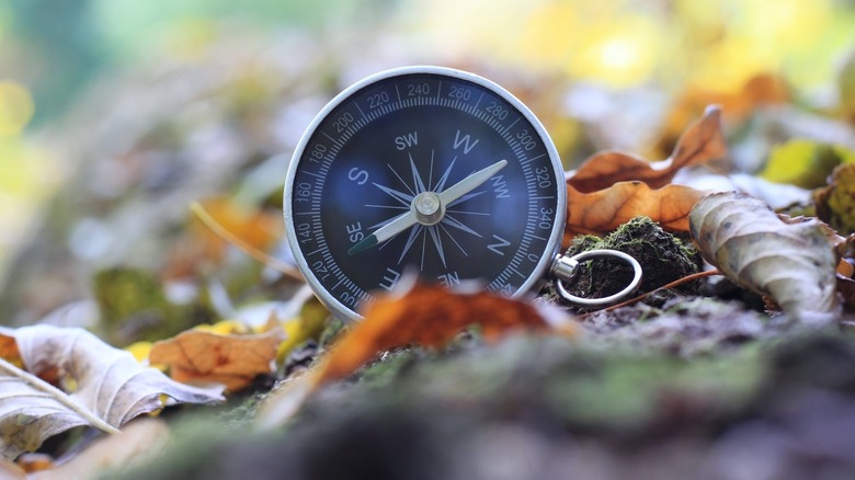 a compass on the ground