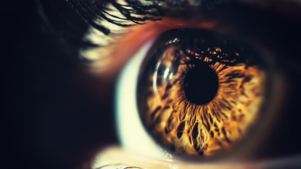 Human eye closeup 