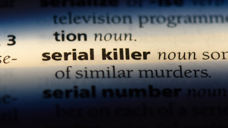 serial killer definition