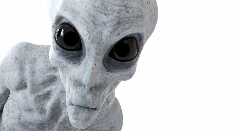 Gray alien looking into camera