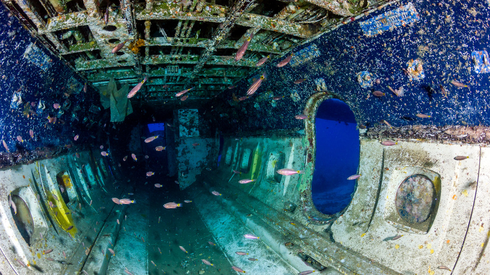 Inside commercial airplane cabin underwater