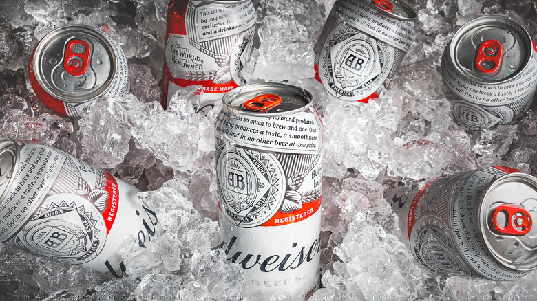 budweiser cans in ice