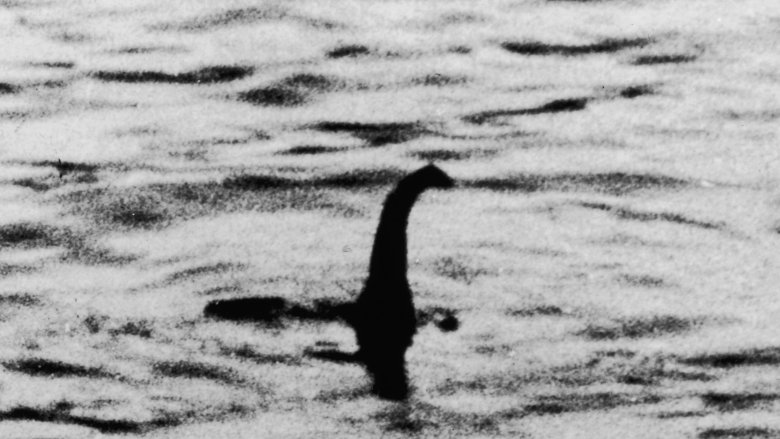 loch ness monster surgeon's photo