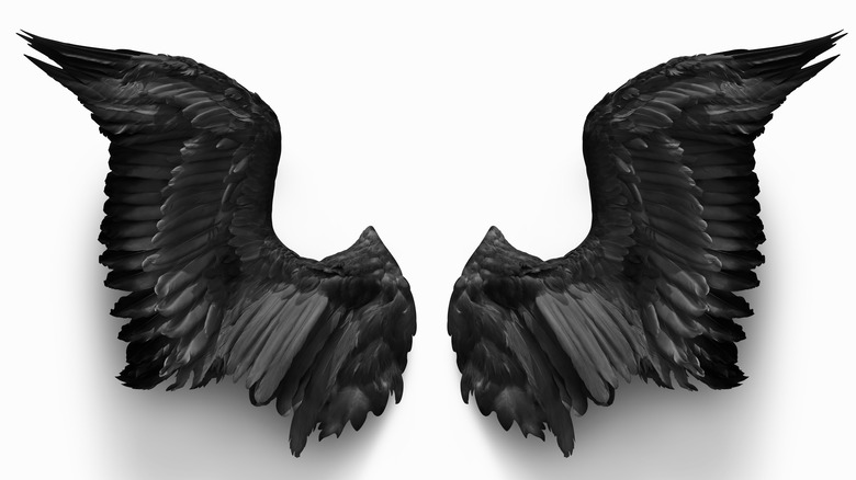 Black angel wings