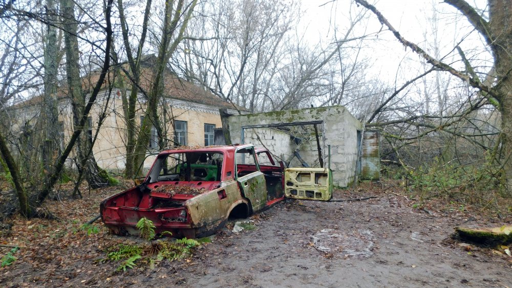 Chernobyl exclusion zone