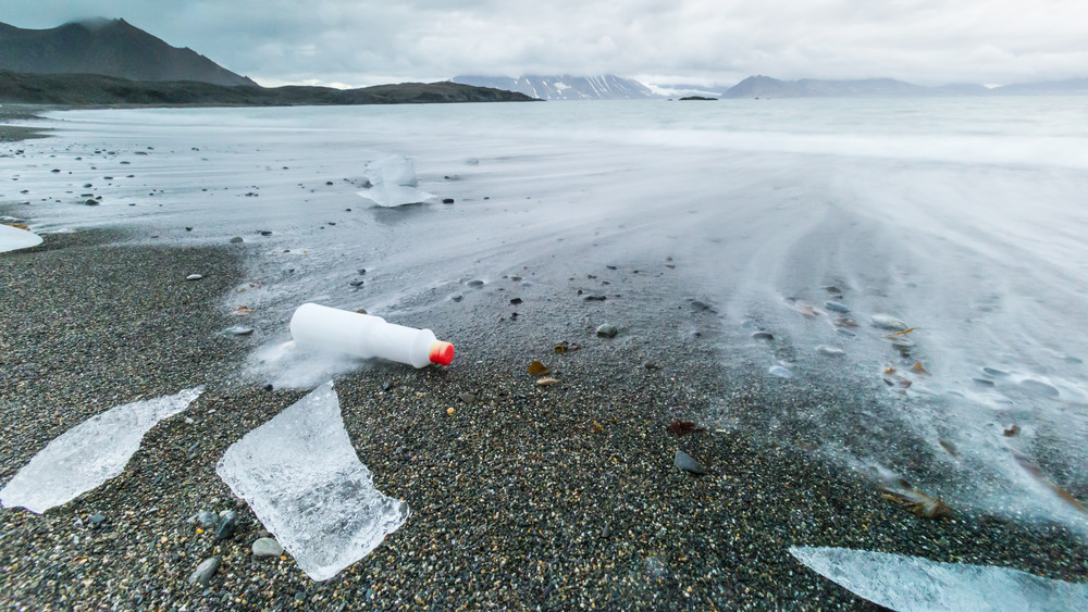 Plastic pollution on Arctic coast