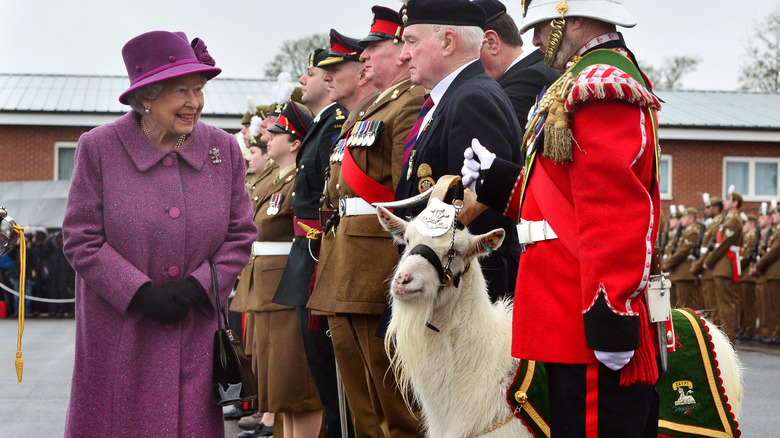 Queen Elizabeth with military goat