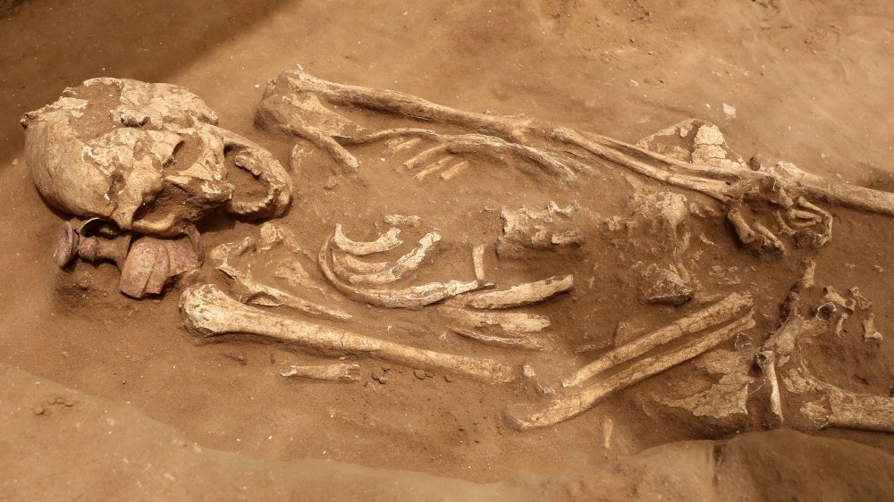 Philistine from a grave at Ashkelon, the Sea Peoples