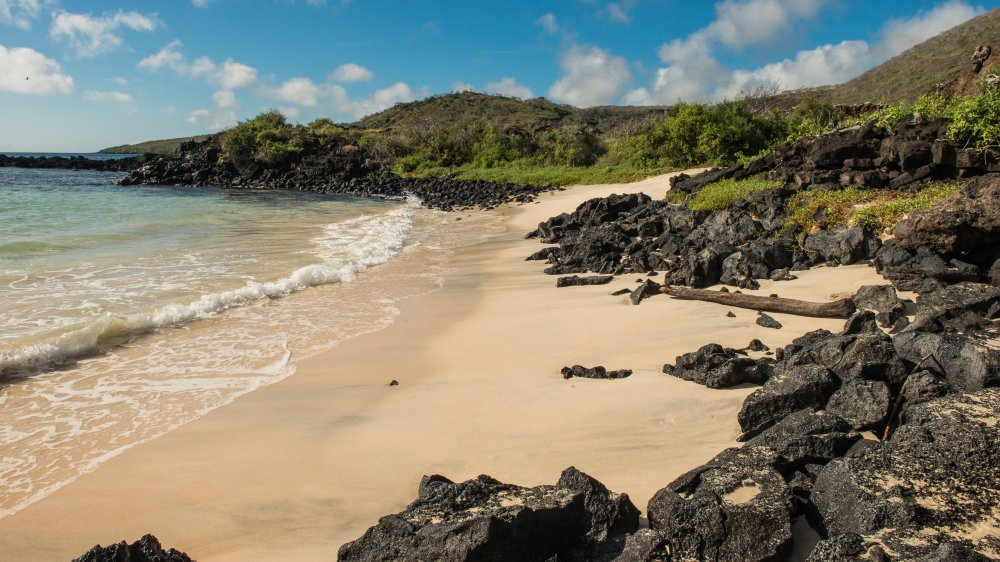 Floreana Island, Galapagos