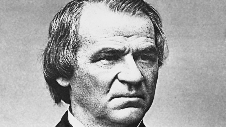 Andrew Johnson presidential portrait