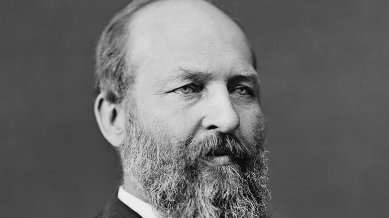 James Garfield presidential portrait