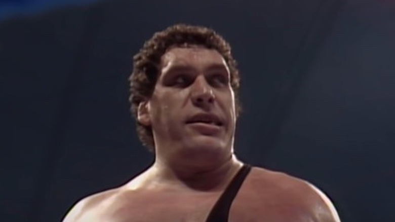 Andre the Giant looking on