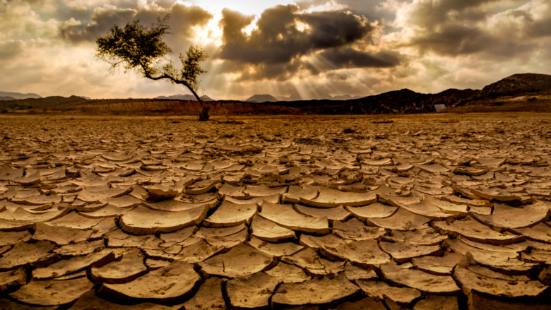 Dry, barren ground