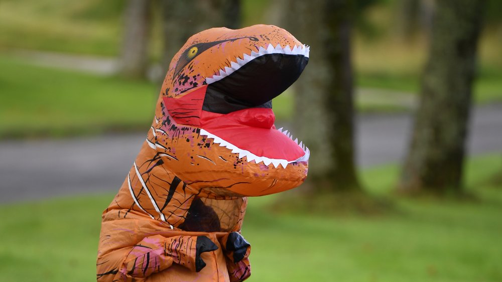 Dinosaur costume