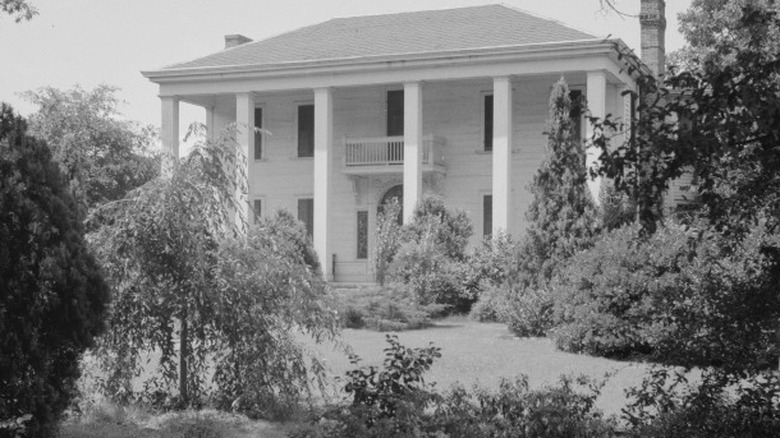 Georgia plantation