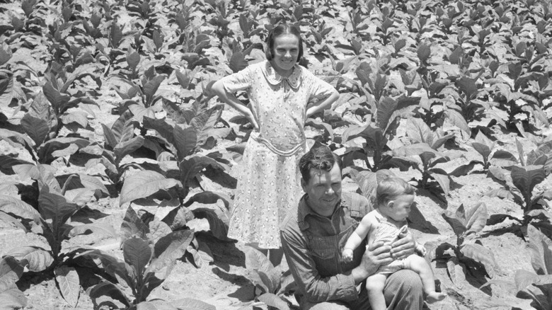 North Carolina farm couple