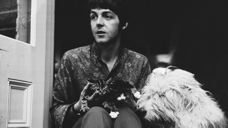 Paul McCartney sitting with Martha